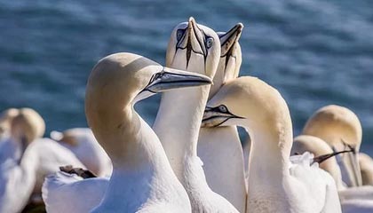 云南最新贷款中介收费15%合法吗方法分析(最方便真实的云南贷款中介收费合理吗方法)