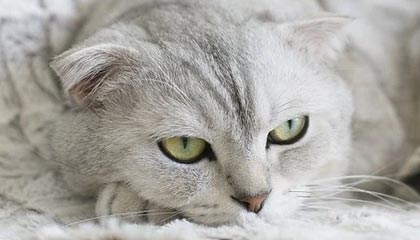 云南最新公积金换现金秒到账微信号方法分析(最方便真实的云南公积金的钱微信怎么取出来方法)