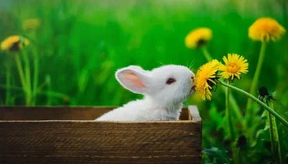 云南最新24小时上门回收公积金卡方法分析(最方便真实的云南24小时上门回收公积金卡电话方法)